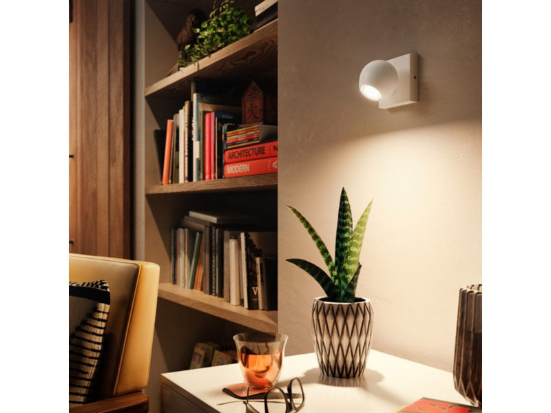 Spot unique Buckram Blanc