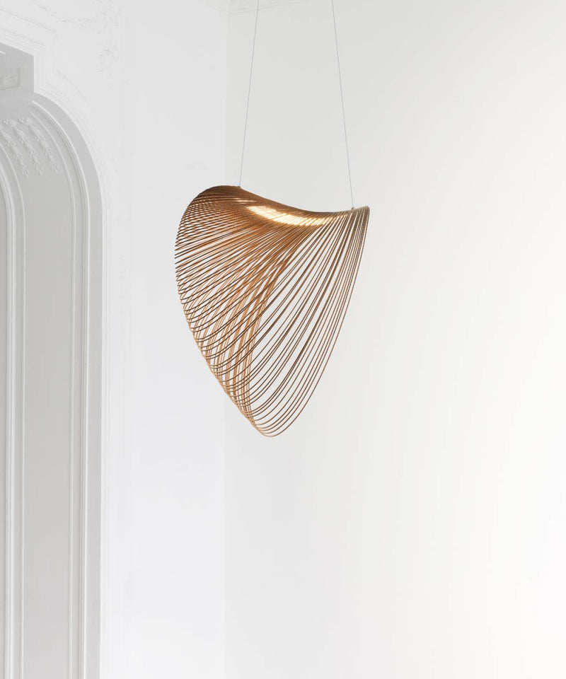 Illan Luce Plan