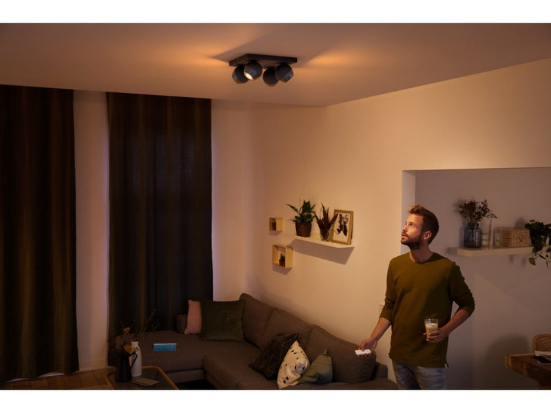 Spot quadruple Buckram Noir