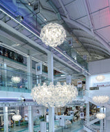 Espoir suspension Luce Plan