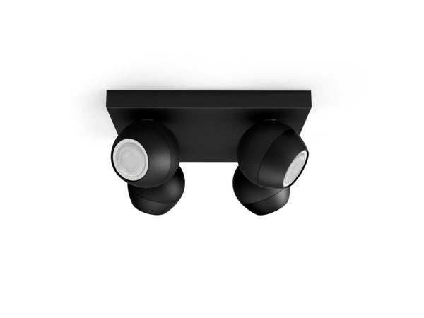 Spot quadruple Buckram Noir