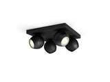 Spot quadruple Buckram Noir