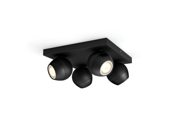 Spot quadruple Buckram Noir