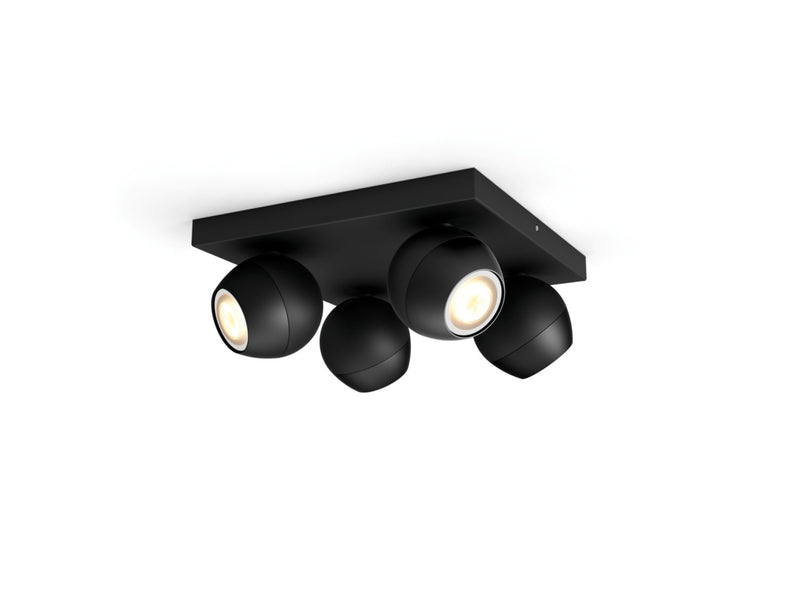 Spot quadruple Buckram Noir
